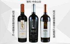 阿尤經典精選珍藏赤霞珠佳美娜干紅葡萄酒AHU酒莊