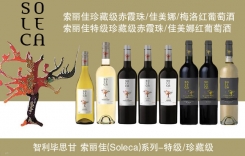 索麗佳特級珍藏赤霞珠佳美娜紅葡萄酒 智利畢思甘酒莊