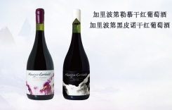 加里波第黑皮諾干紅葡萄酒 加里波第勒慕干紅葡萄酒