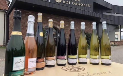 重慶紅酒批發哪里正宗?渝北空港進口紅酒批發市場